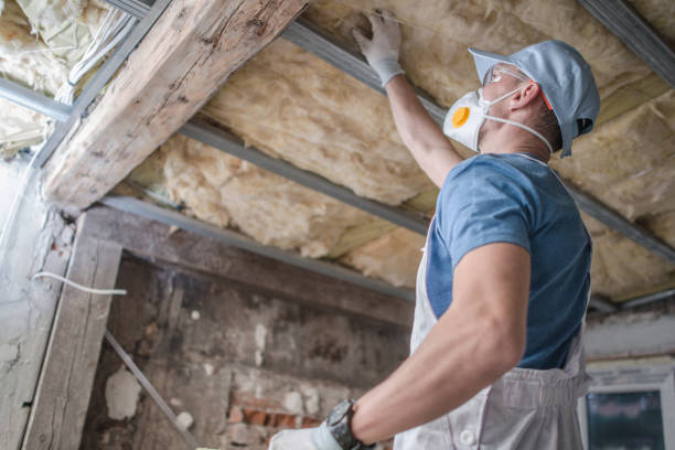 Best Insulation Materials and Products in Middleburg, FL